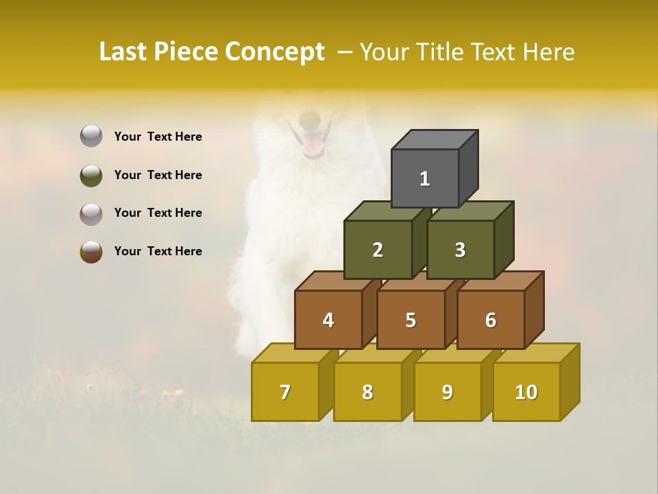 Race Swiss Head PowerPoint Template