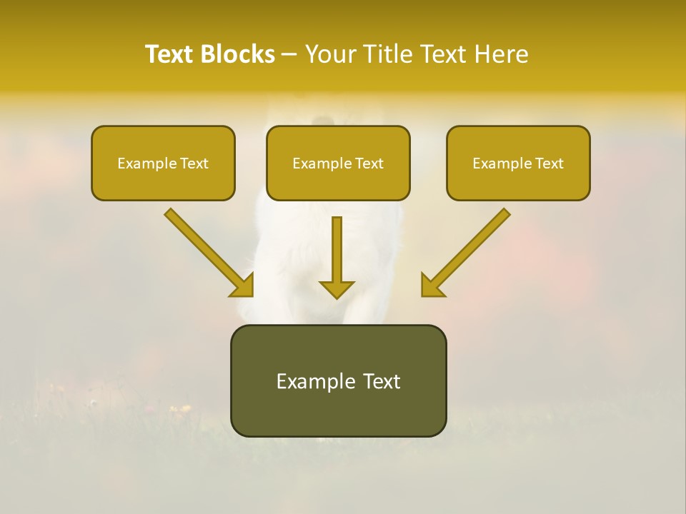 Race Swiss Head PowerPoint Template