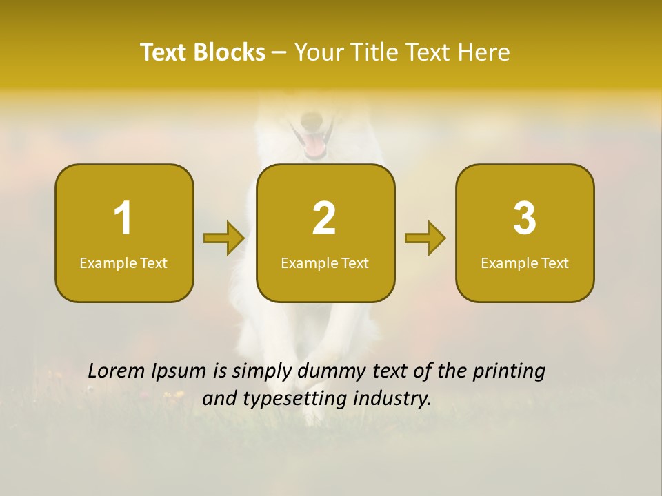 Race Swiss Head PowerPoint Template