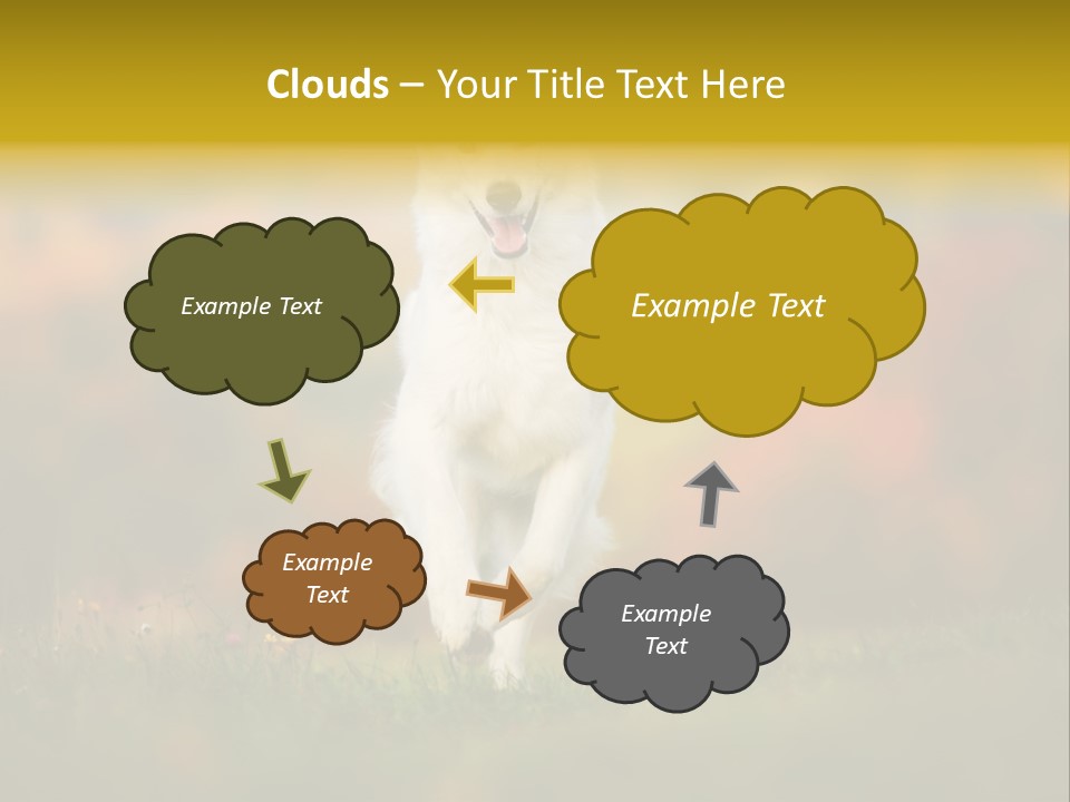 Race Swiss Head PowerPoint Template