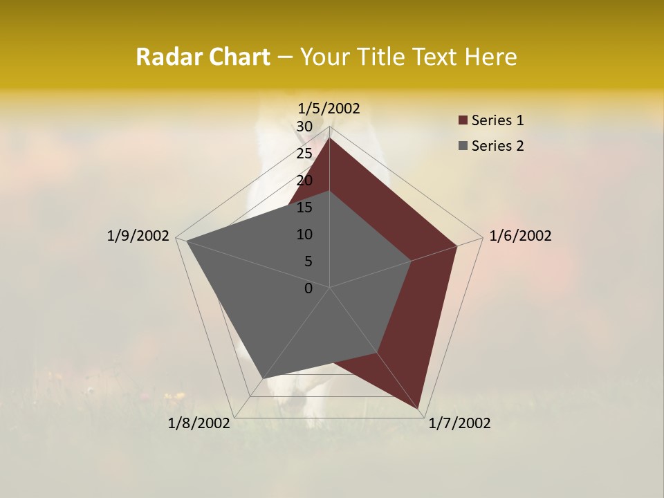 Race Swiss Head PowerPoint Template