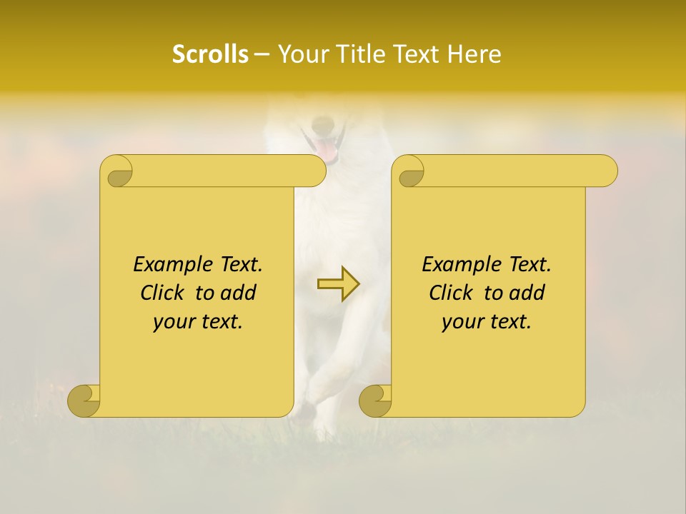 Race Swiss Head PowerPoint Template