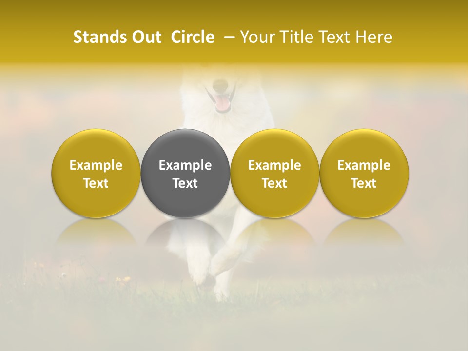 Race Swiss Head PowerPoint Template