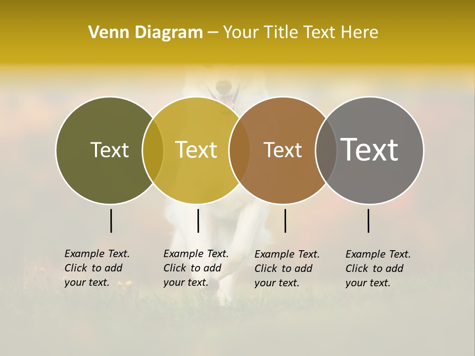 Race Swiss Head PowerPoint Template