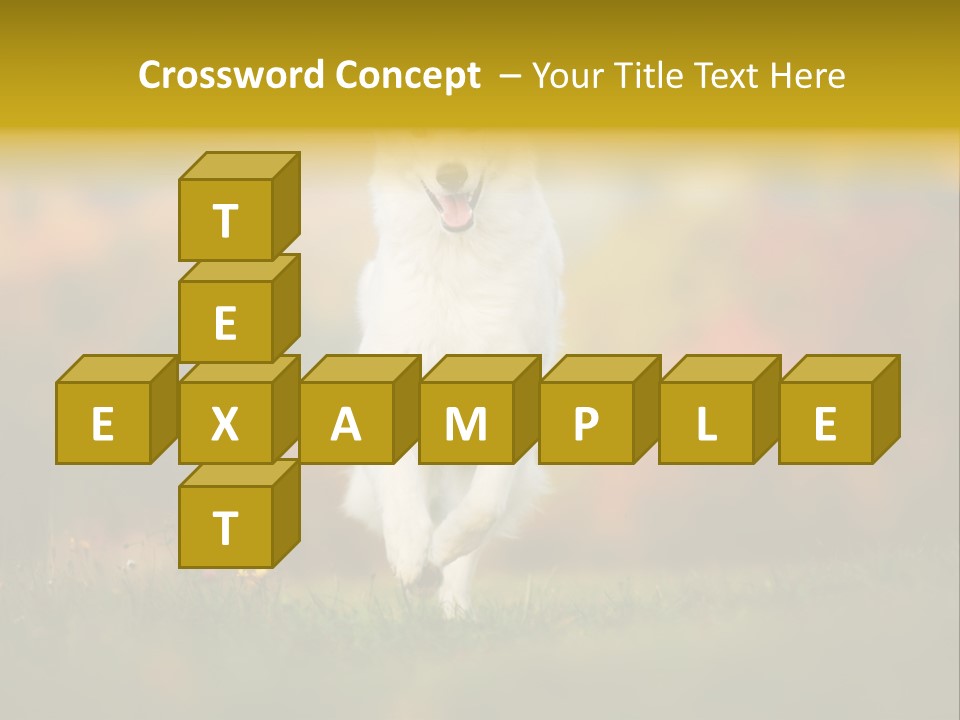 Race Swiss Head PowerPoint Template