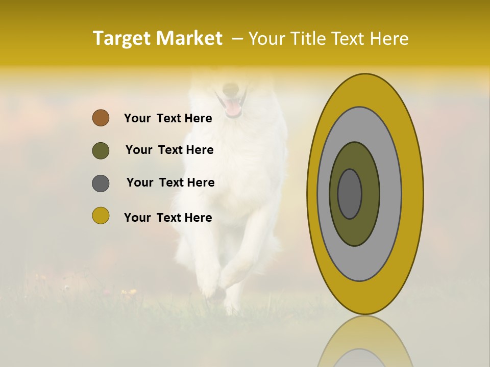 Race Swiss Head PowerPoint Template