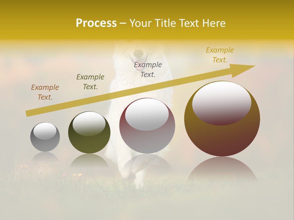 Race Swiss Head PowerPoint Template