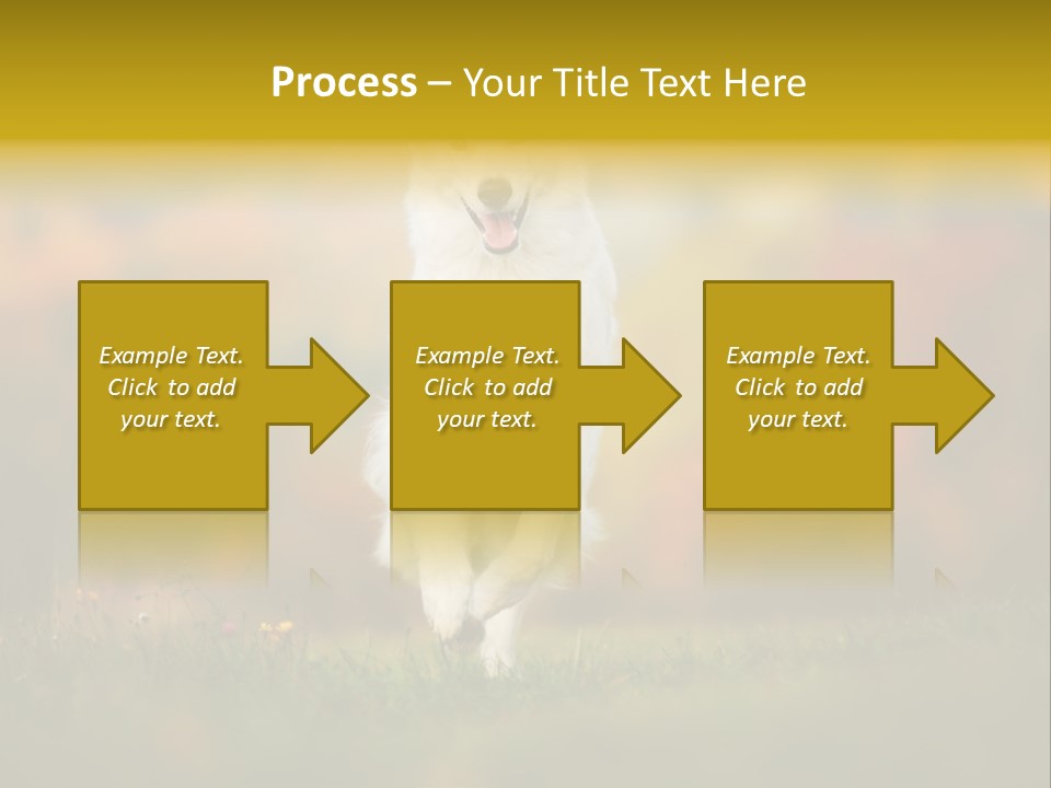 Race Swiss Head PowerPoint Template