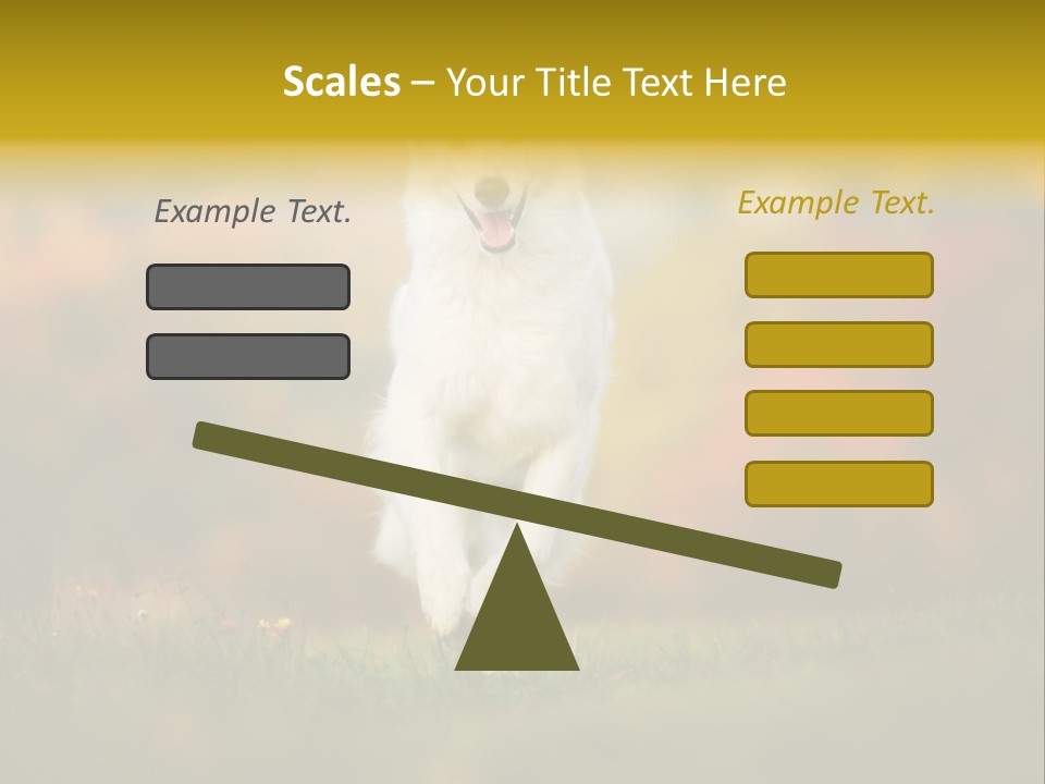 Race Swiss Head PowerPoint Template