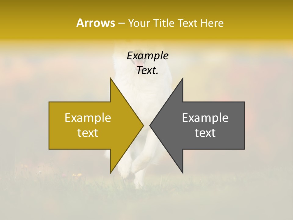 Race Swiss Head PowerPoint Template