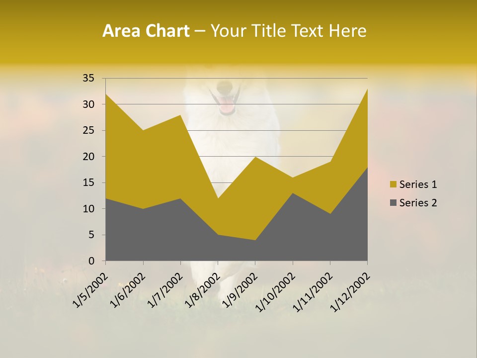 Race Swiss Head PowerPoint Template
