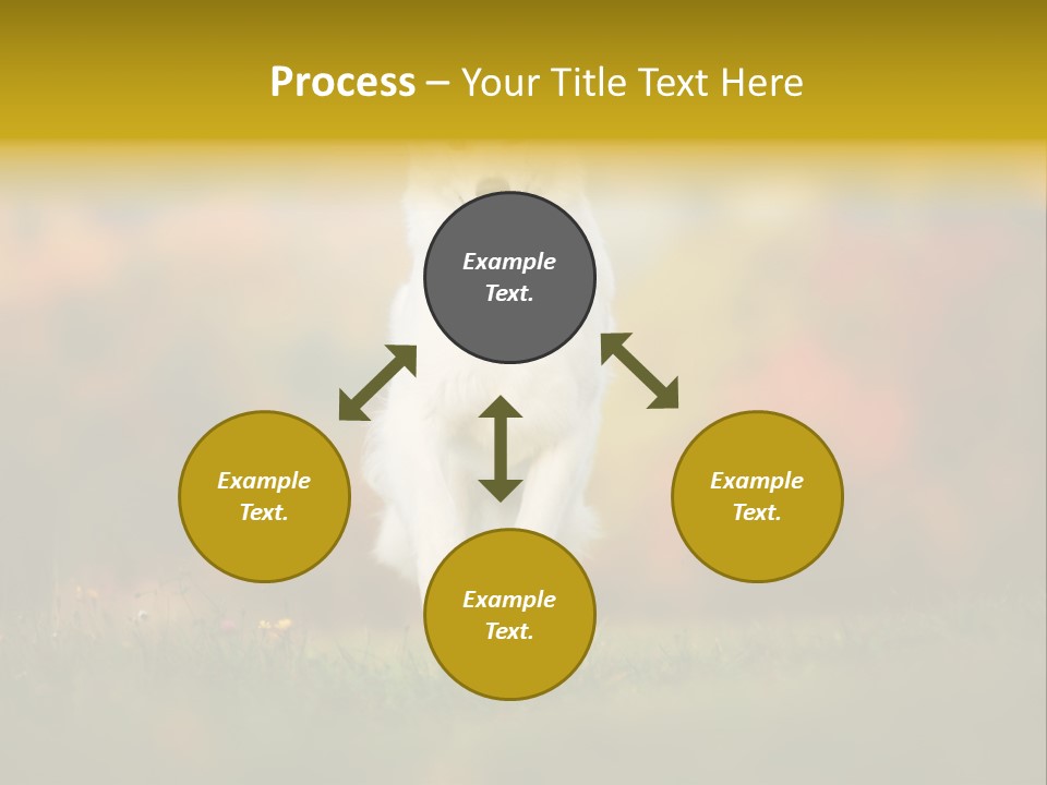 Race Swiss Head PowerPoint Template