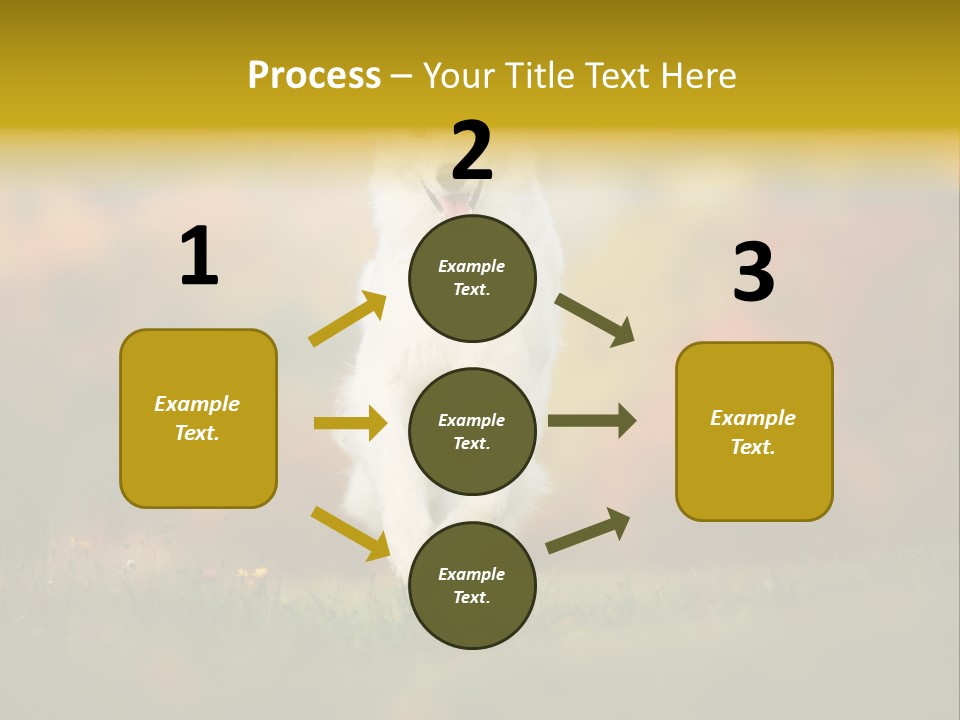 Race Swiss Head PowerPoint Template