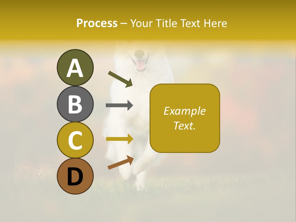 Race Swiss Head PowerPoint Template