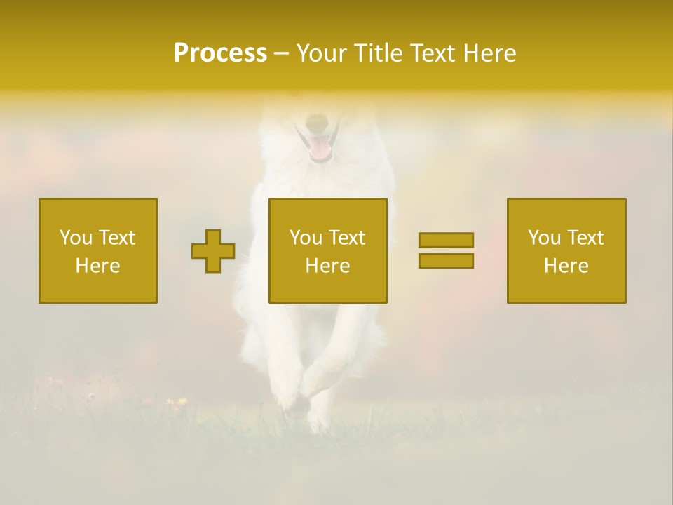 Race Swiss Head PowerPoint Template