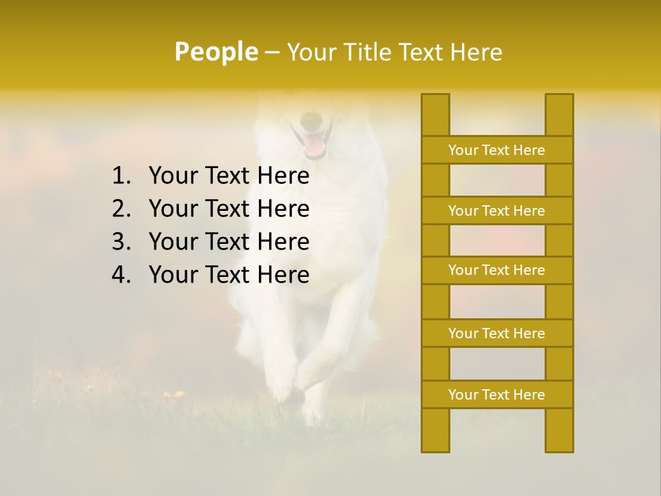 Race Swiss Head PowerPoint Template