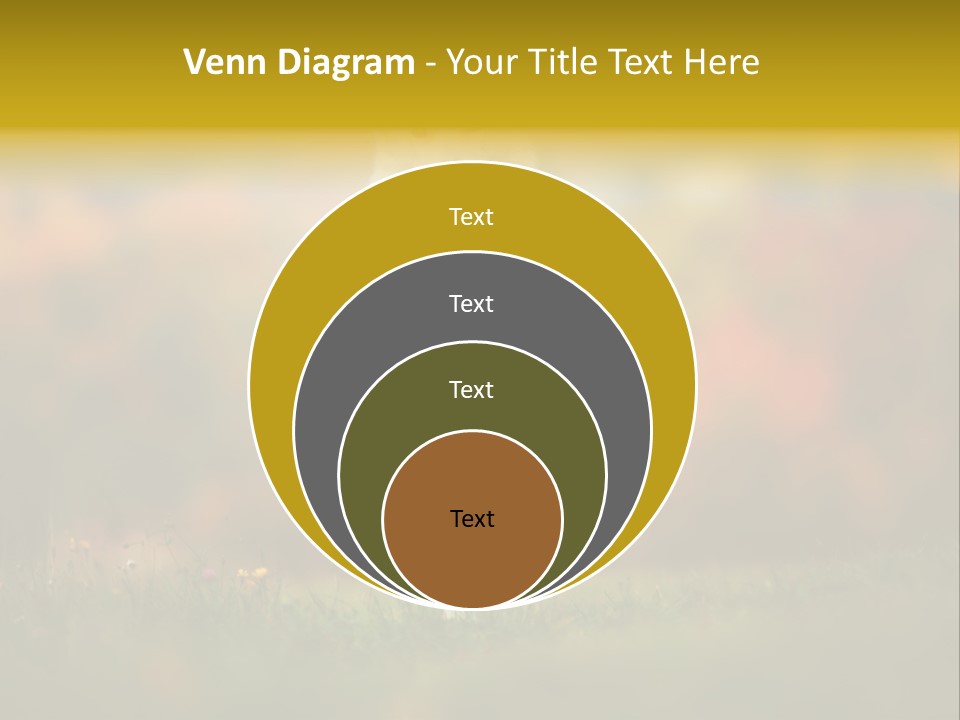 Race Swiss Head PowerPoint Template