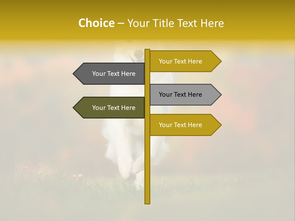 Race Swiss Head PowerPoint Template