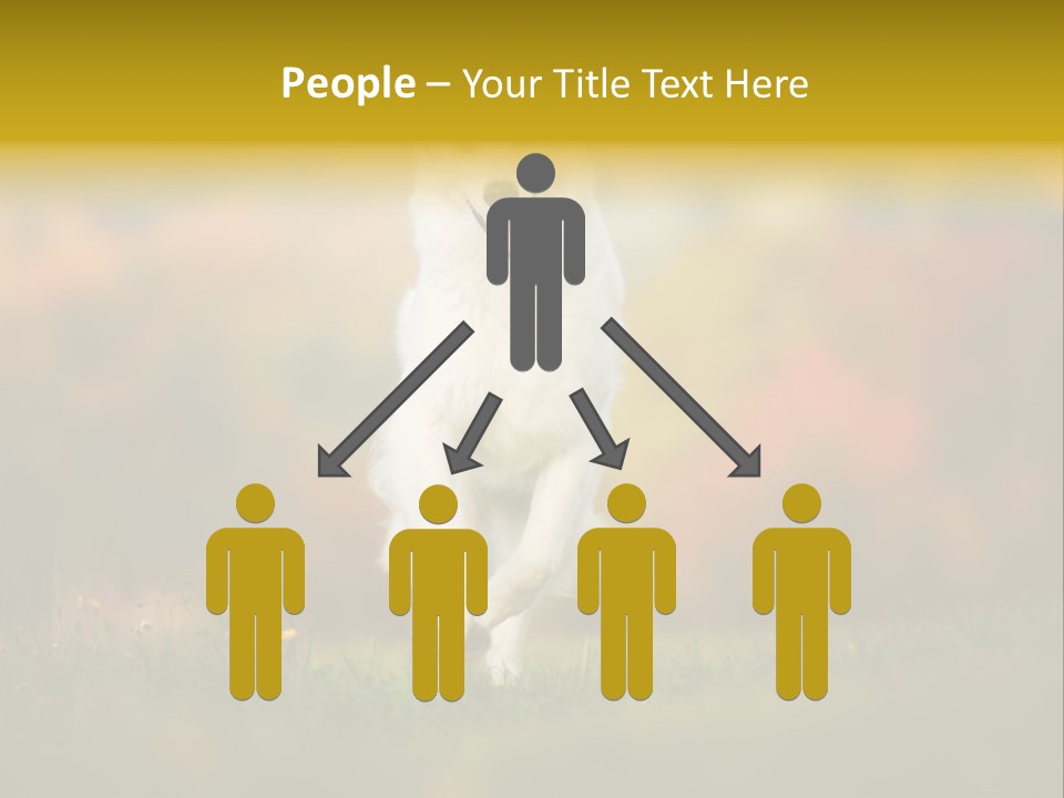 Race Swiss Head PowerPoint Template