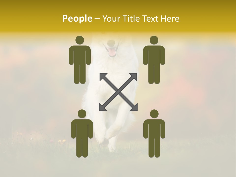 Race Swiss Head PowerPoint Template