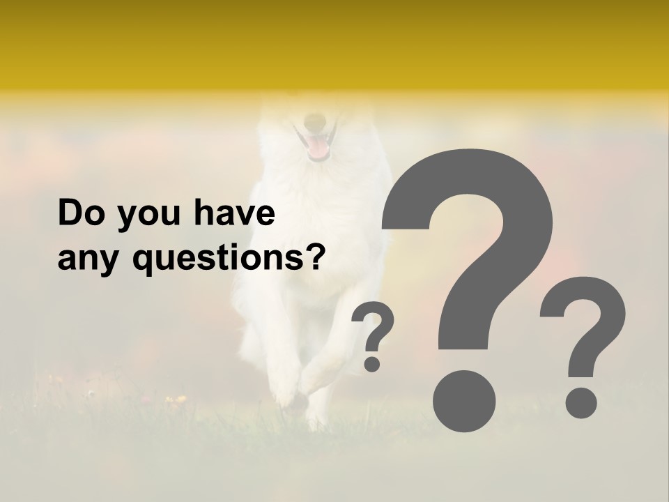 Race Swiss Head PowerPoint Template