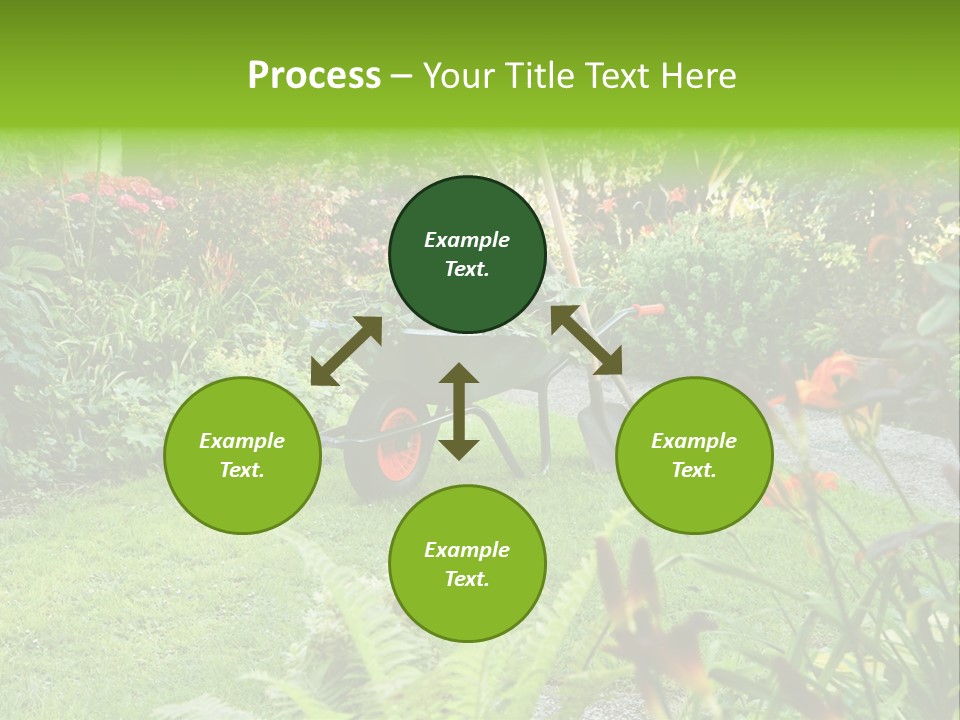 Weed Summergarden Stone PowerPoint Template