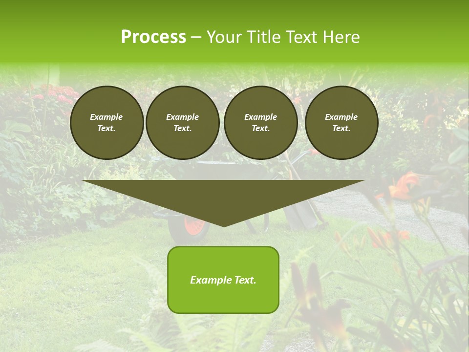 Weed Summergarden Stone PowerPoint Template