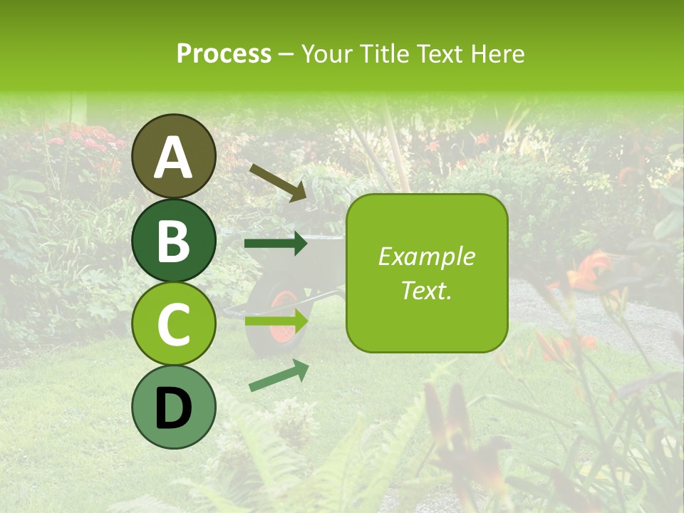 Weed Summergarden Stone PowerPoint Template