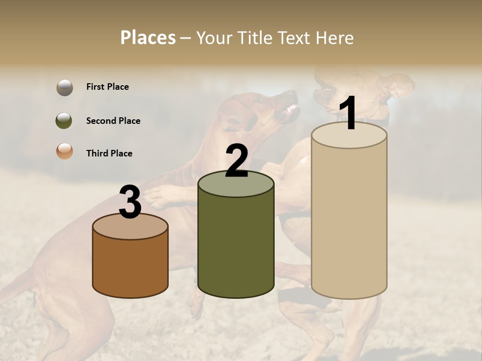 Aggressive Carnivore Jumping PowerPoint Template