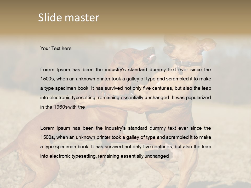 Aggressive Carnivore Jumping PowerPoint Template