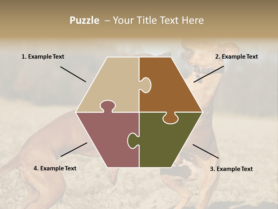 Aggressive Carnivore Jumping PowerPoint Template