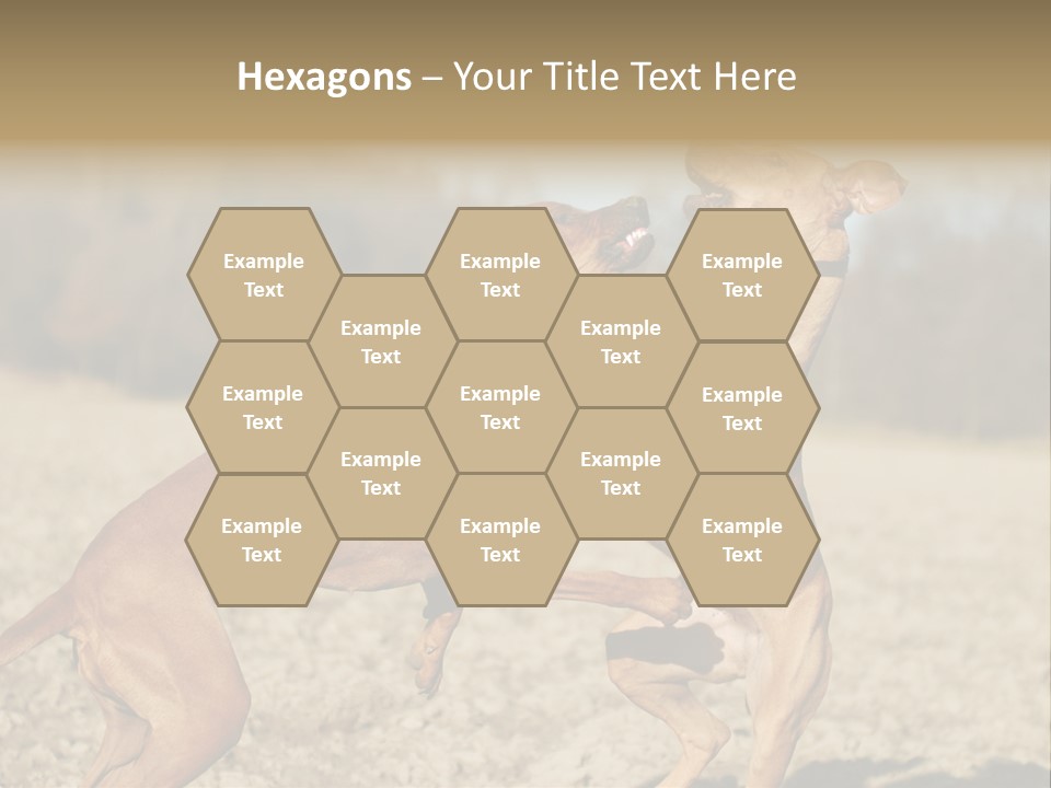 Aggressive Carnivore Jumping PowerPoint Template