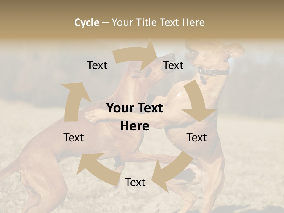 Aggressive Carnivore Jumping PowerPoint Template