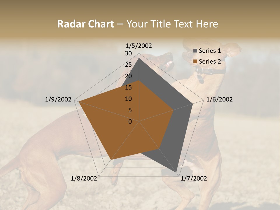 Aggressive Carnivore Jumping PowerPoint Template