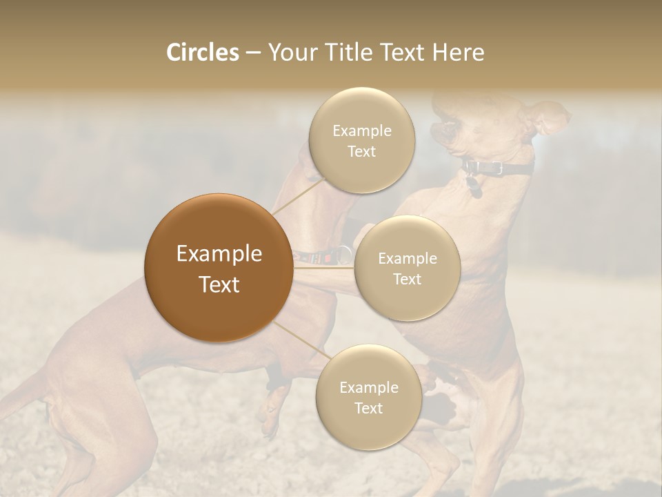 Aggressive Carnivore Jumping PowerPoint Template