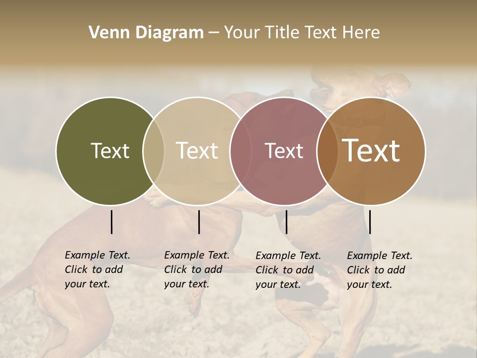Aggressive Carnivore Jumping PowerPoint Template