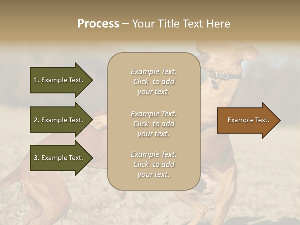 Aggressive Carnivore Jumping PowerPoint Template