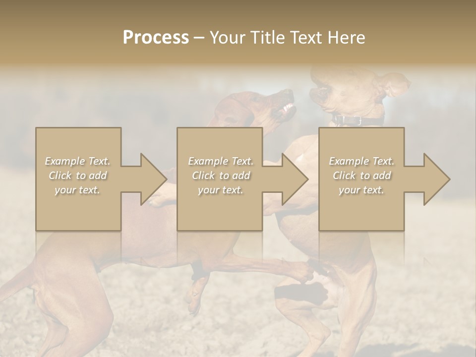 Aggressive Carnivore Jumping PowerPoint Template