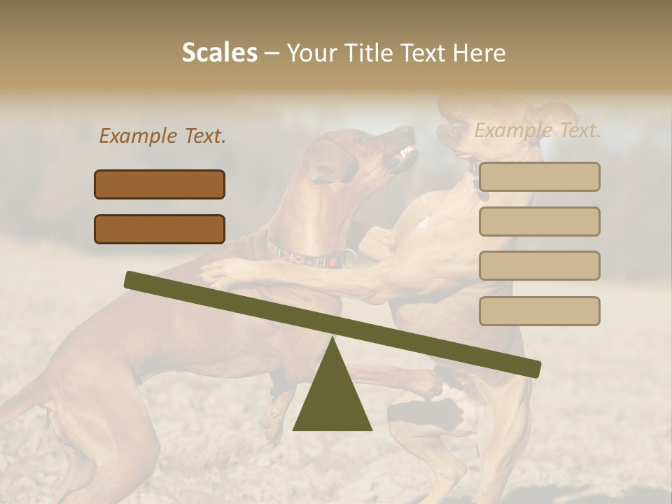 Aggressive Carnivore Jumping PowerPoint Template