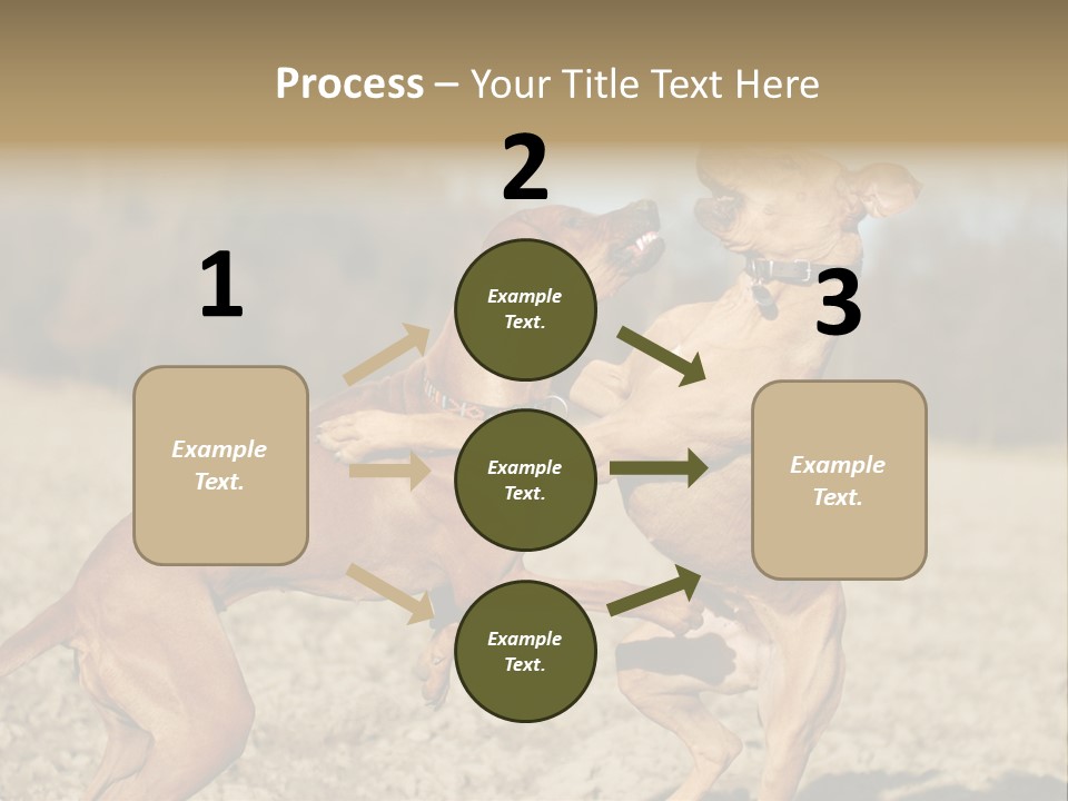 Aggressive Carnivore Jumping PowerPoint Template