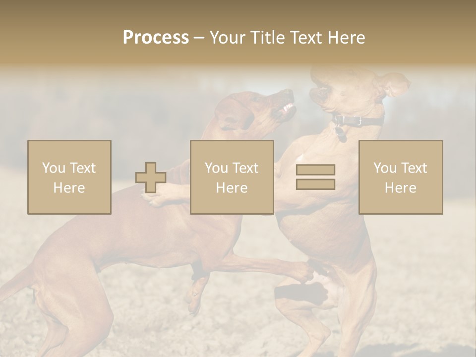 Aggressive Carnivore Jumping PowerPoint Template