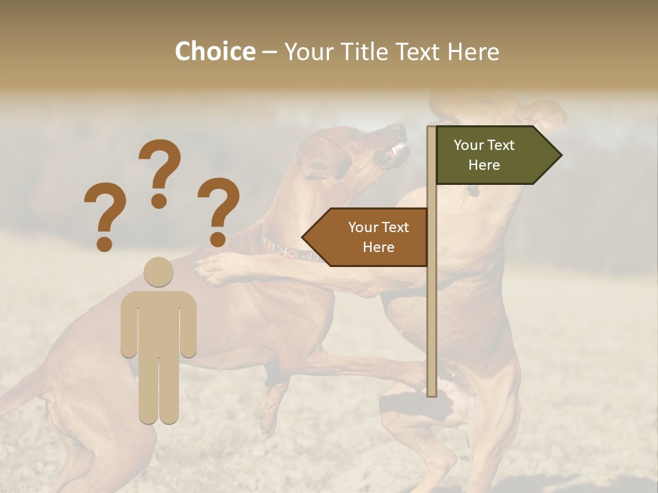 Aggressive Carnivore Jumping PowerPoint Template