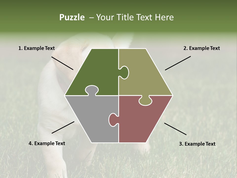 A Yellow Labrador Retriever Dog Holding A Tennis Ball In Its Mouth PowerPoint Template