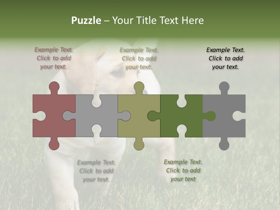 A Yellow Labrador Retriever Dog Holding A Tennis Ball In Its Mouth PowerPoint Template