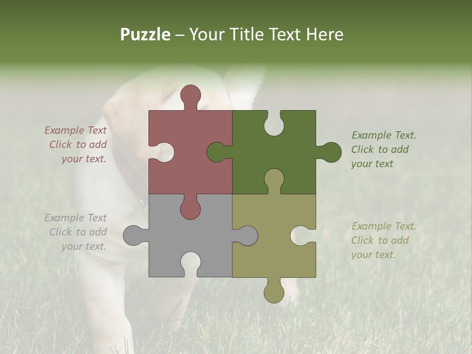 A Yellow Labrador Retriever Dog Holding A Tennis Ball In Its Mouth PowerPoint Template