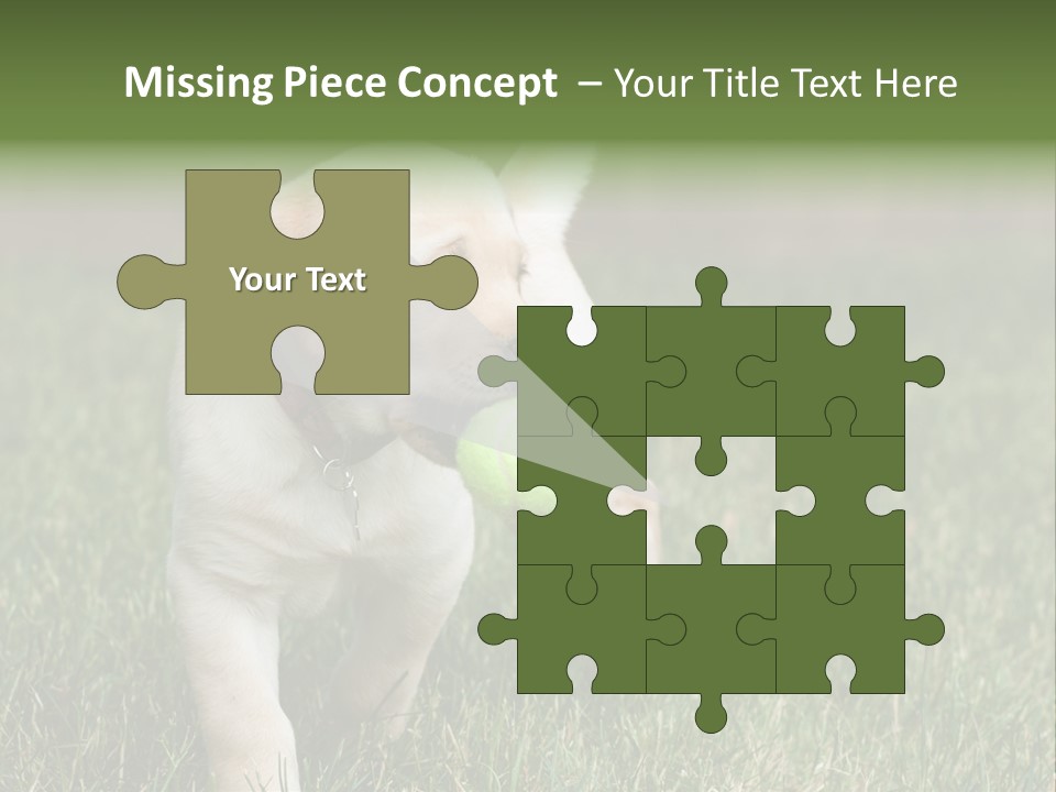 A Yellow Labrador Retriever Dog Holding A Tennis Ball In Its Mouth PowerPoint Template