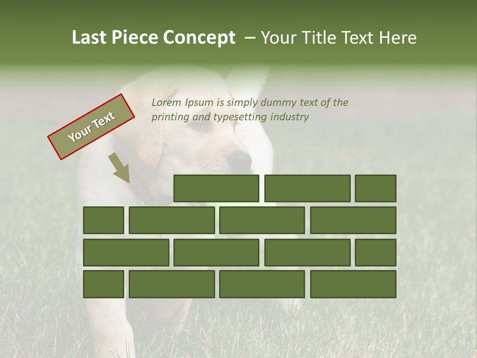 A Yellow Labrador Retriever Dog Holding A Tennis Ball In Its Mouth PowerPoint Template