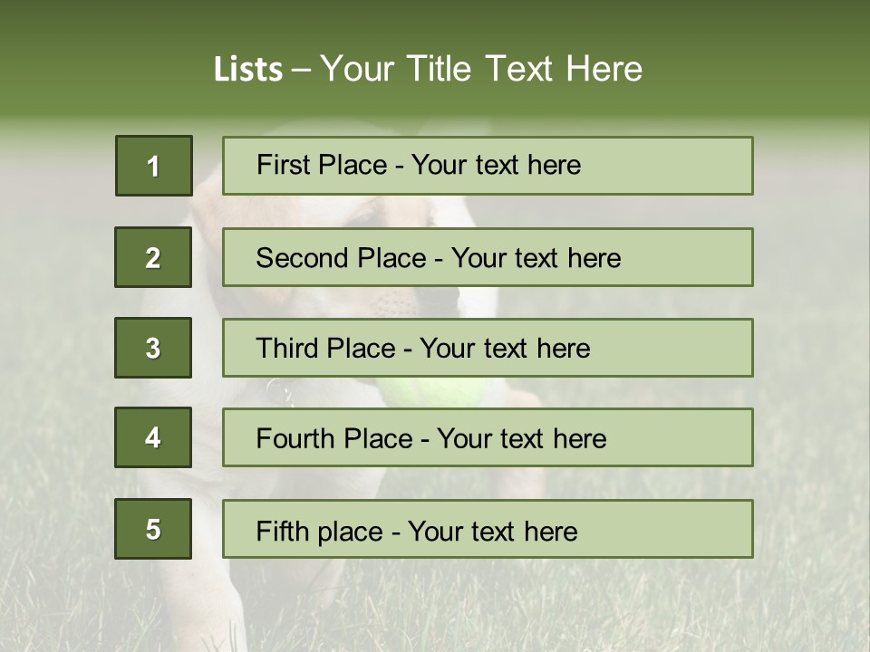 A Yellow Labrador Retriever Dog Holding A Tennis Ball In Its Mouth PowerPoint Template