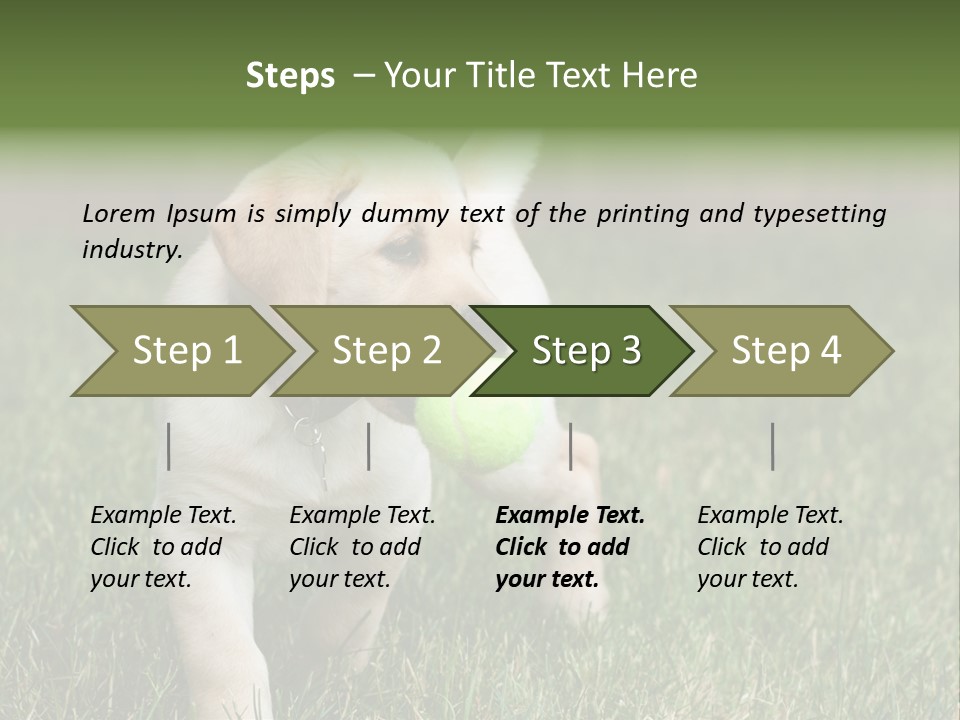 A Yellow Labrador Retriever Dog Holding A Tennis Ball In Its Mouth PowerPoint Template