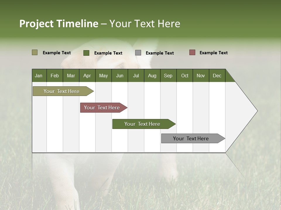 A Yellow Labrador Retriever Dog Holding A Tennis Ball In Its Mouth PowerPoint Template